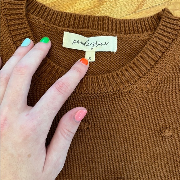 NWOT Roolee Pando Grove Knit Sweater with Polka Dot Embroidery in Burnt Orange - Picture 3 of 7